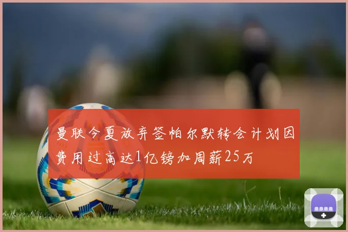 曼联今夏放弃签帕尔默转会计划因费用过高达1亿镑加周薪25万