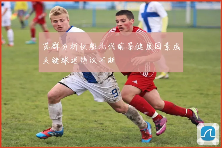 苏群分析快船北伐前景健康因素成关键球迷热议不断