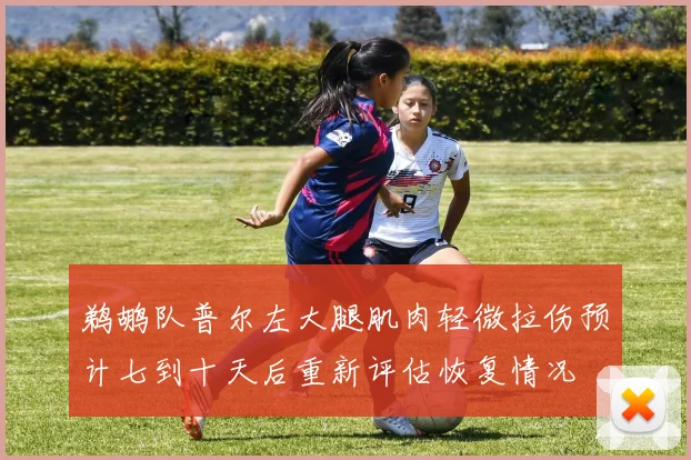 鹈鹕队普尔左大腿肌肉轻微拉伤预计七到十天后重新评估恢复情况