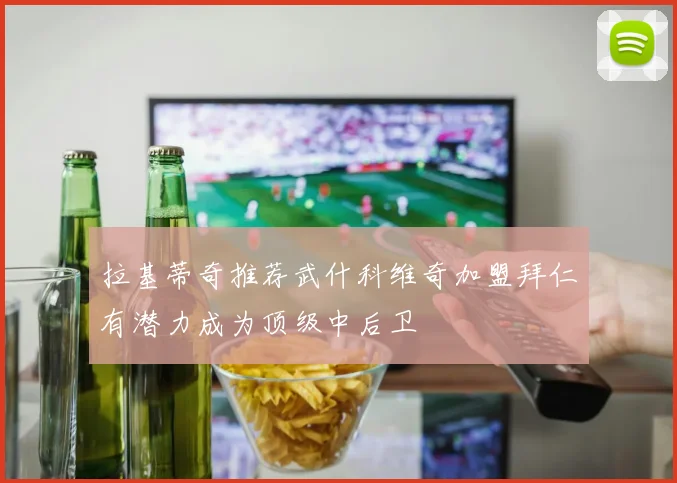拉基蒂奇推荐武什科维奇加盟拜仁有潜力成为顶级中后卫
